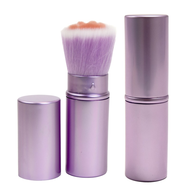 The Cat Paw Lint Brush EE Schenck Company