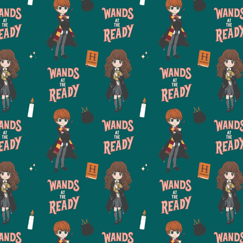 Harry Potter Stand Together EE Schenck Company