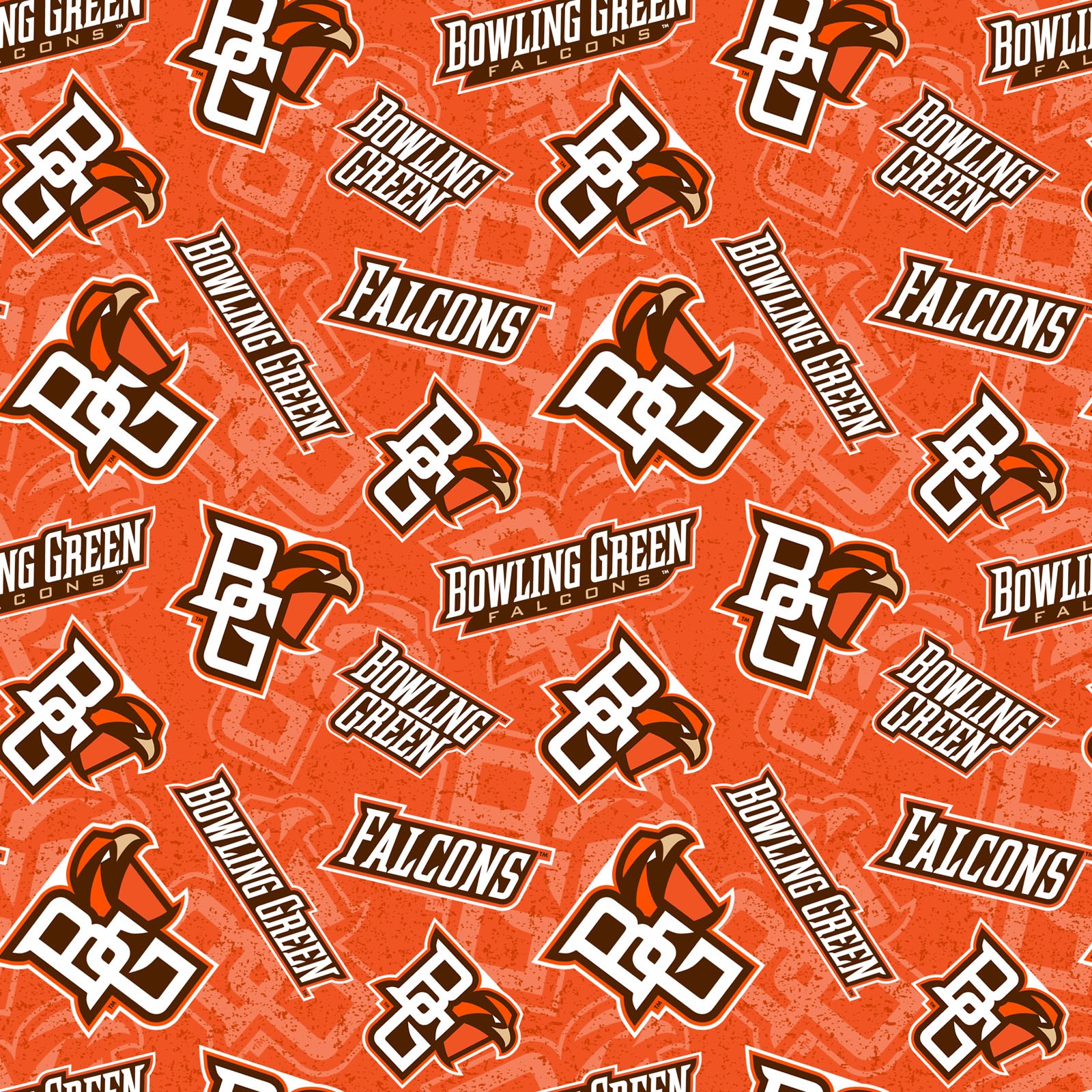 Bowling Green State University EE Schenck Company