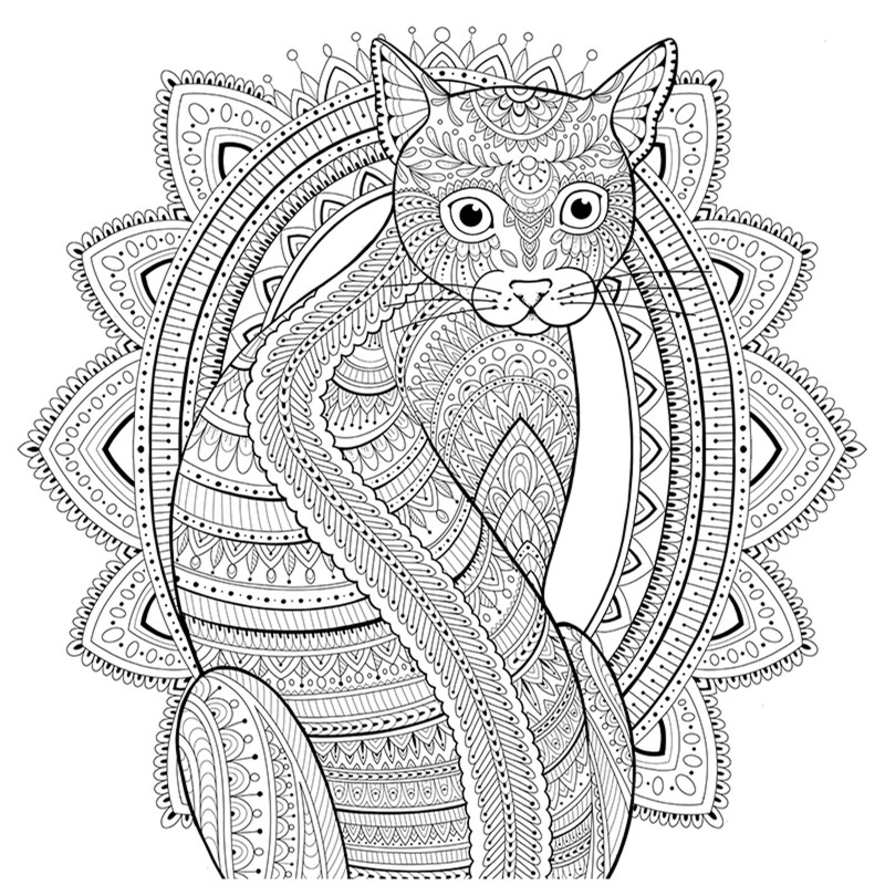 My Cat Mandala | EE Schenck Company
