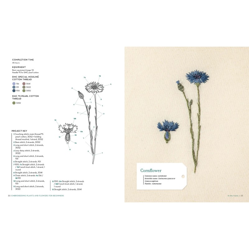 Embroidering Plants and Flowers for Beginners EE Schenck Company