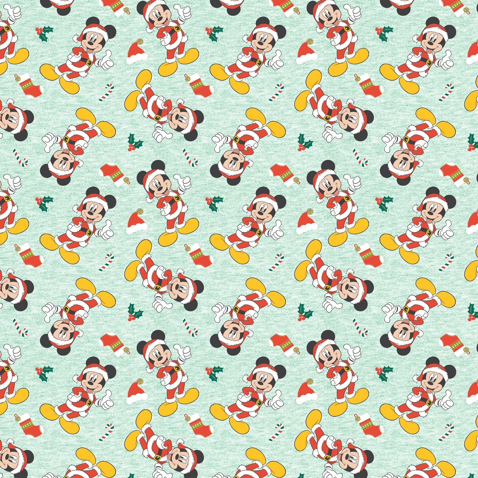 Mickey Mouse & Friends | EE Schenck Company