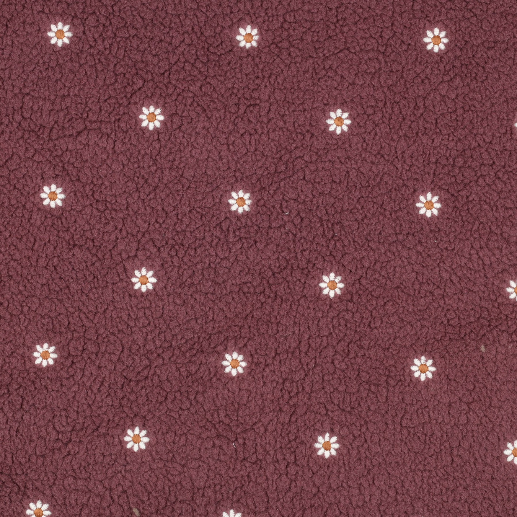 VER03349-003.jpg