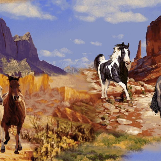 Download Wild Wild West | EE Schenck Co.